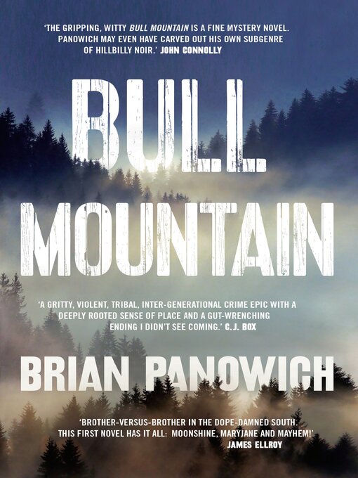 Title details for Bull Mountain by Brian Panowich - Available